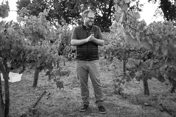 Winemaker, Dan Petroski